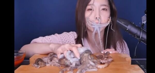 Mukbang Gurita Hidup Hidup 47b8d
