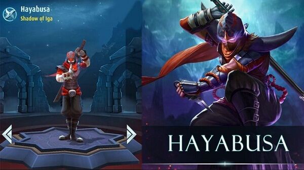 Hayabusa 7a03d