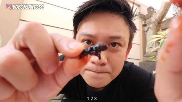 Mukbang Bayi Tikus D53aa