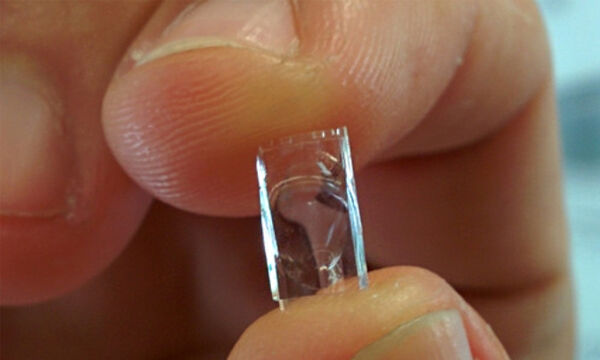 Dynaoptics
