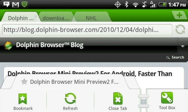 Dolphin Mini