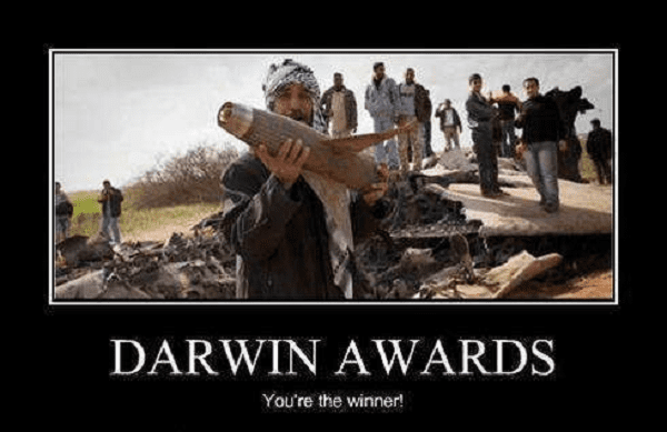 darwin awards