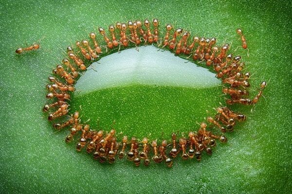 Foto Tanpa Photoshop 10