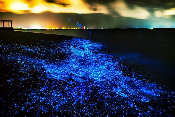 toyama bay