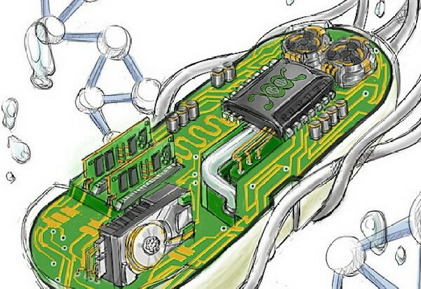 Syntheticbio Picsay 3e032