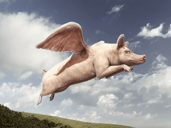 Pigasus Award