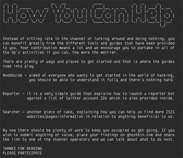 Anonymous Hack Isis