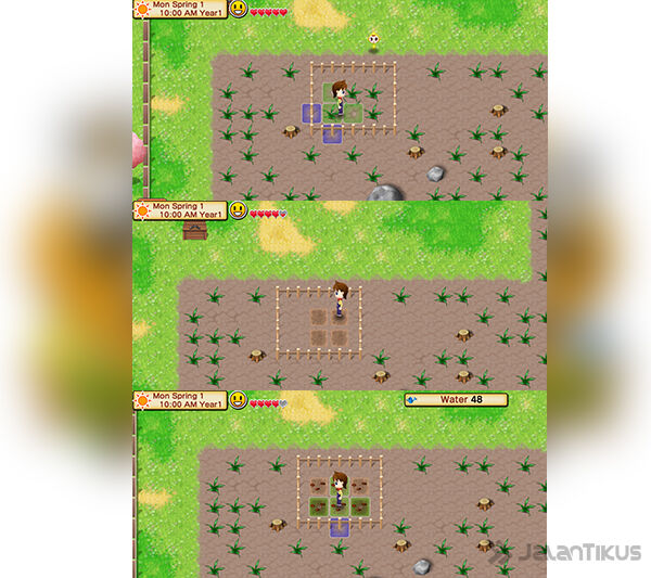 Harvest Moon Seeds Of Memories 4