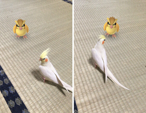 Pokemon Di Tempat Tak Terduga 10