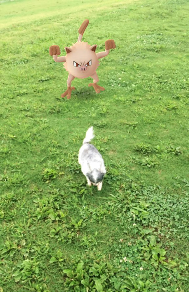 Pokemon Di Tempat Tak Terduga 12