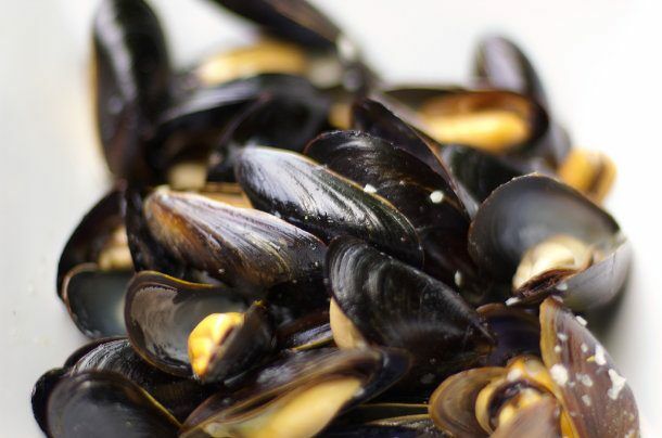 Steamed Mussels 610x404 B95d6