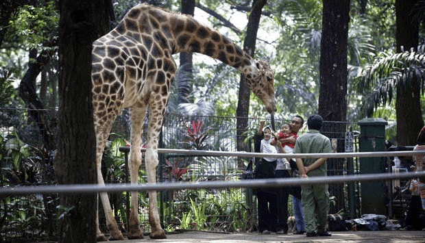 Ragunan