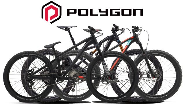 Polygon Be081