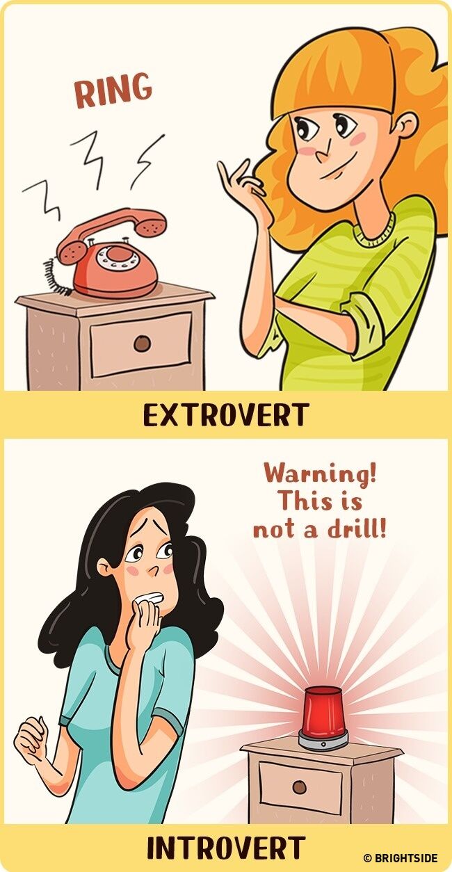 Perbandingan Introvert Dan Ekstrovert 3