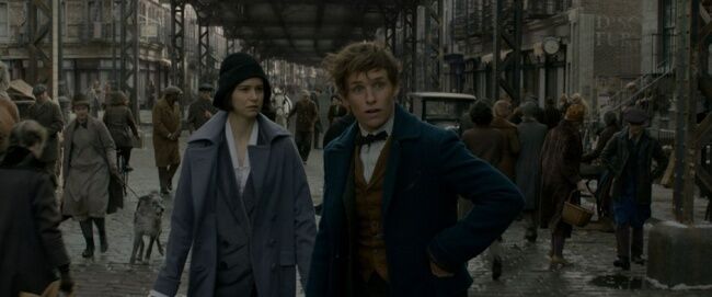 Fantastic Beasts And Where To Find Them 6