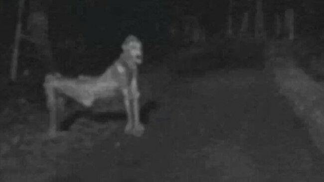 Foto Mengerikan Deep Web 1 43023