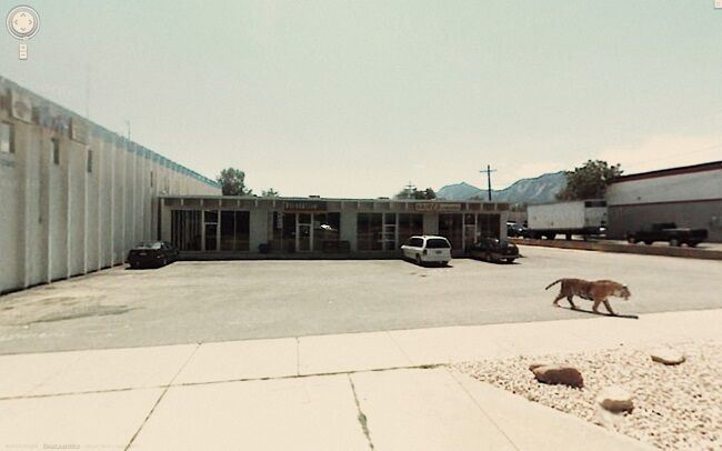 Foto Tak Terduga Google Street 10