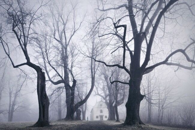 Foto Tanpa Photoshop 10
