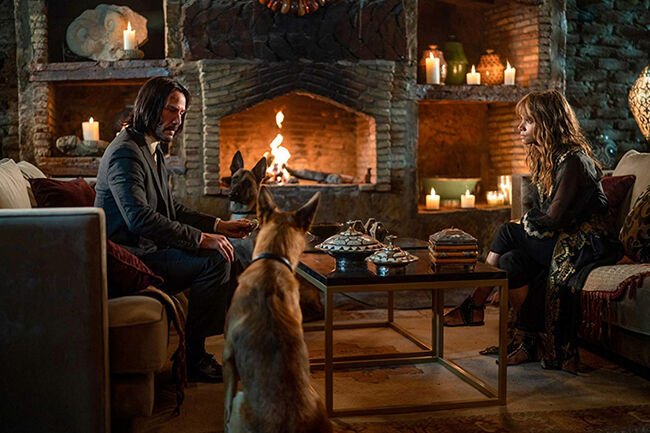 JW3 Inside Dogs 504ac
