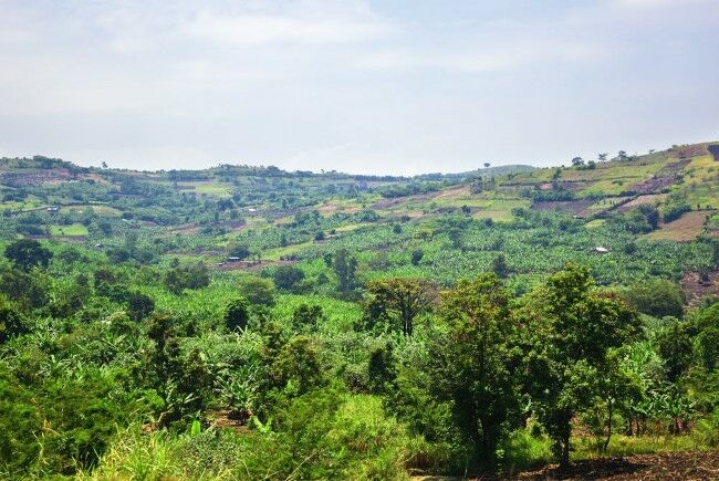 Wakanda Dunia Nyata 3 12626