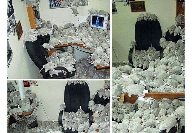 Prank8