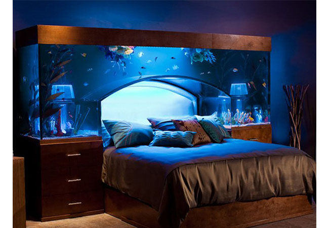 Dream1