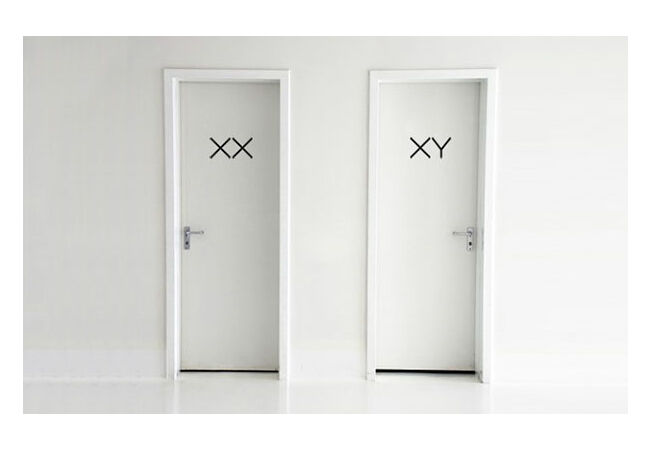 Toilet3