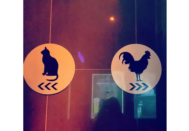 Toilet8