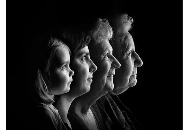 Family3