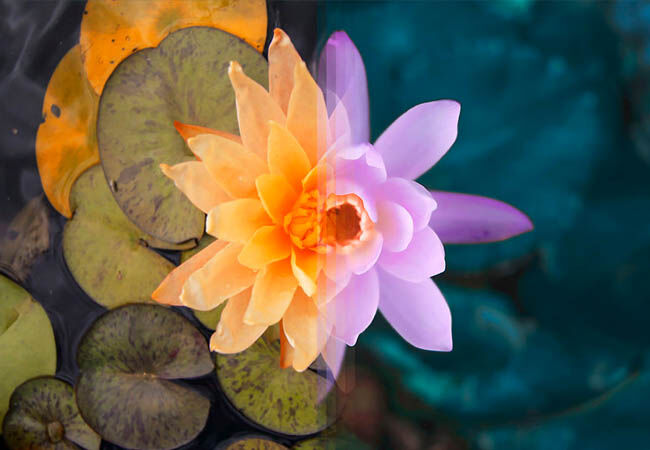 Combined1