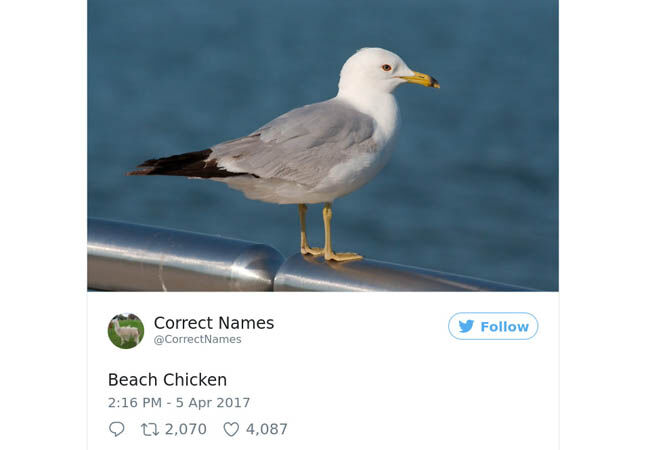 Name12