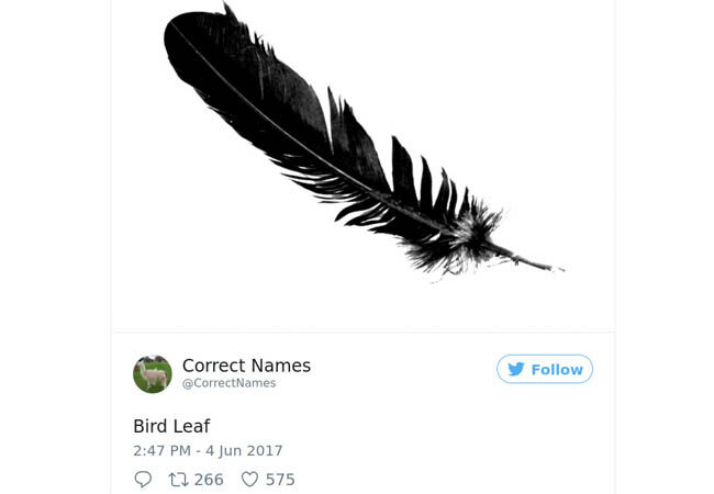 Name13