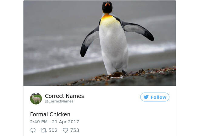 Name14