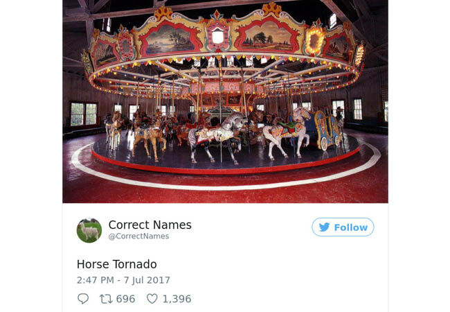 Name16