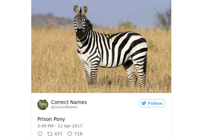 Name4