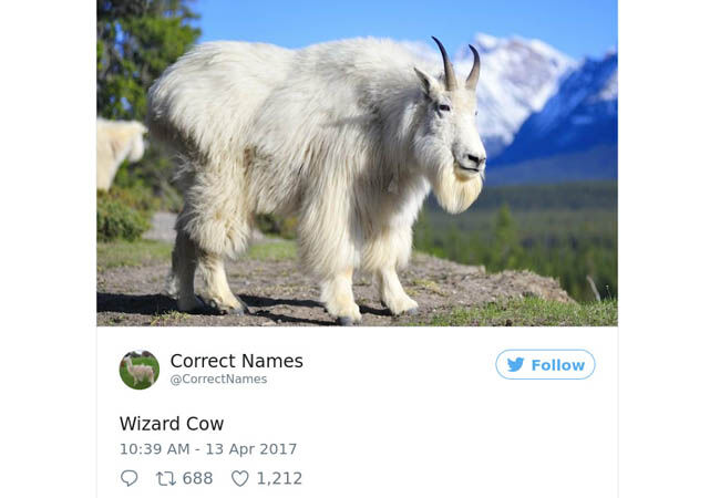 Name9