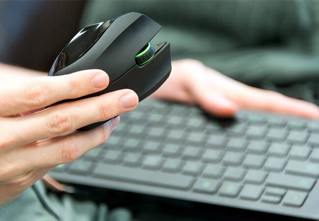 Mouse