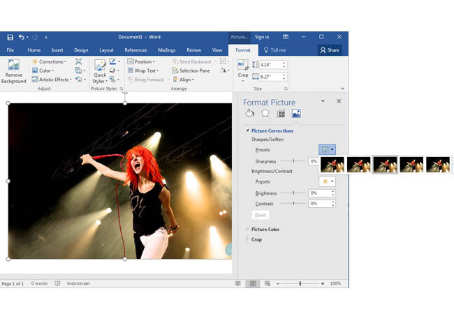 Foto Tajam Ms Word 4