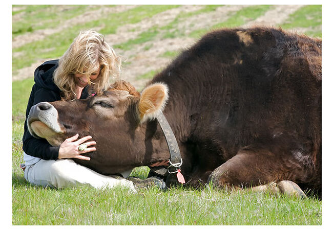 Sapi15