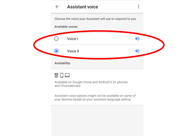 Google Assistant Voice