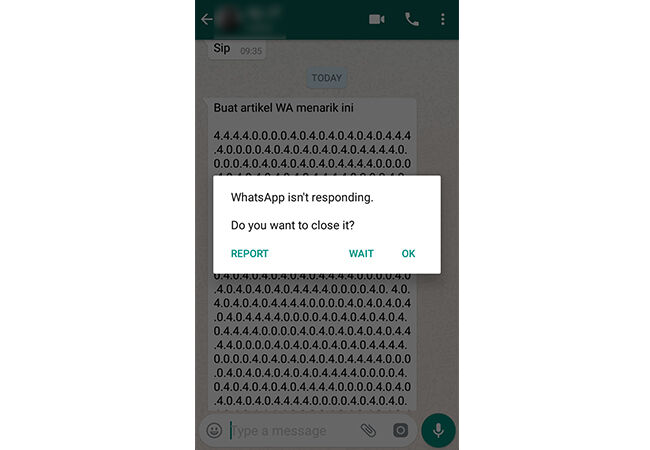 Tips Whatsapp Anti Lemot Prank