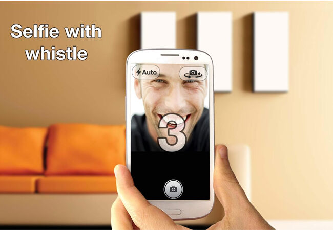 Whistle Camera