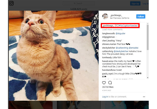 Jangan Lakukan Di Instagram 3