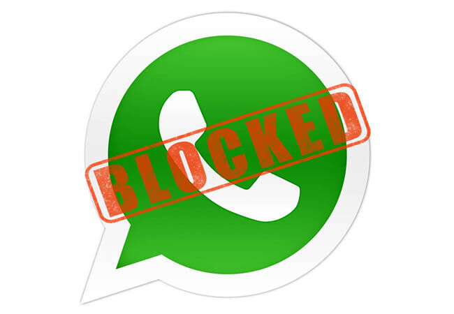 Bugs Whatsapp 2 Ce942