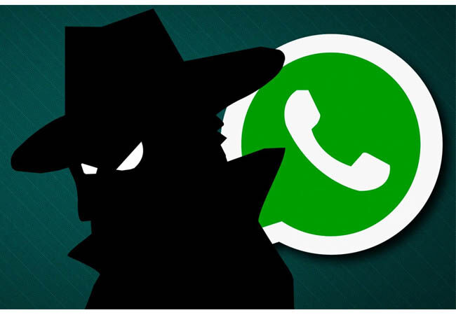 Bugs Whatsapp 4 005ff