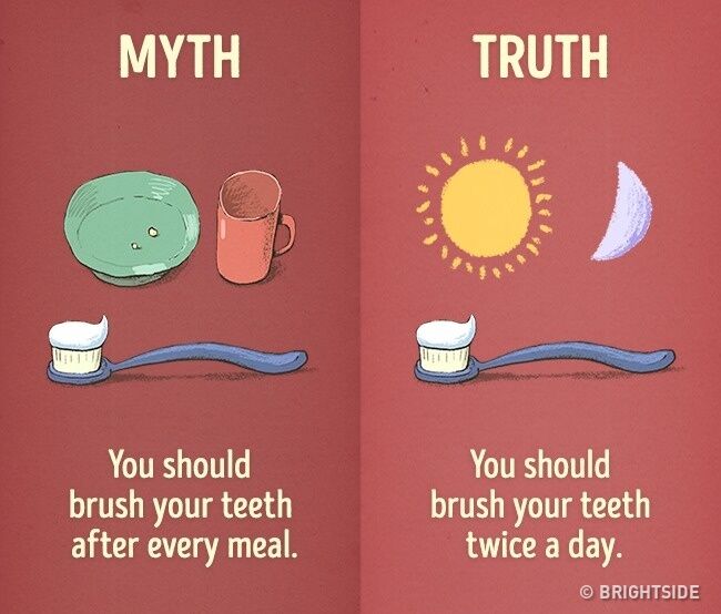 Mitos Fakta Kebiasaan Sehari Hari 5