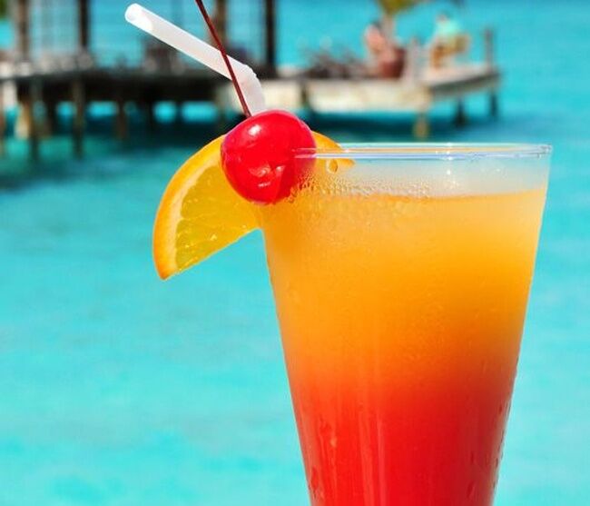 Minuman Beralkohol Dilihat Dari Mikroskop 21