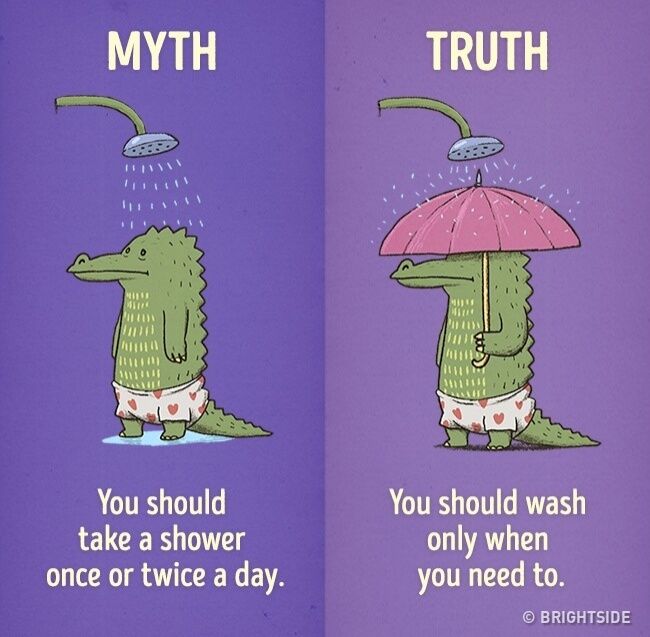 Mitos Fakta Kebiasaan Sehari Hari 3