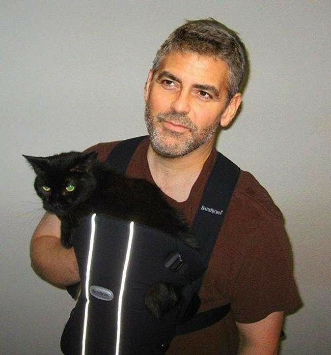 George Clooney Cat 6e0fd