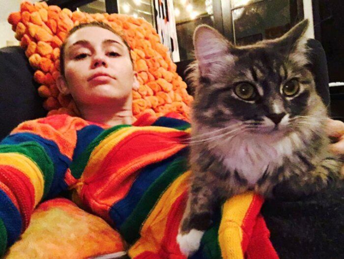 Miley Cyrus Kucing 1139b